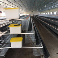 Commercial Layer Chicken Cage for Poultry Farm - Tiered Design for Efficient Egg Production - Export Quality