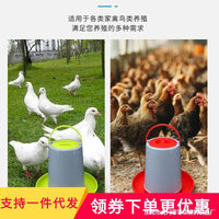Automatic Pigeon Feeder and Drinker for Birds, Chickens, and Poultry - Spill-Proof Food Trough and Water Bowl
