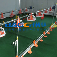 Bangchi Automatic Chicken Feeding System for Broilers - Pan Feeder and Square Pipe Water Line