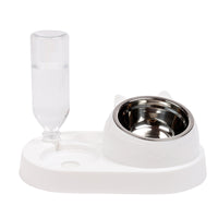 Automatic Pet Feeder with Ceramic Bowls for Cats and Dogs - Water Dispenser and Food Bowl Set