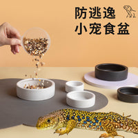 Ceramic Escape-Proof Worm Dish for Reptiles - Round High-Edge Feeding Bowl for Geckos and Lizards