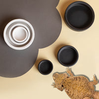 Ceramic Escape-Proof Worm Dish for Reptiles - Round High-Edge Feeding Bowl for Geckos and Lizards