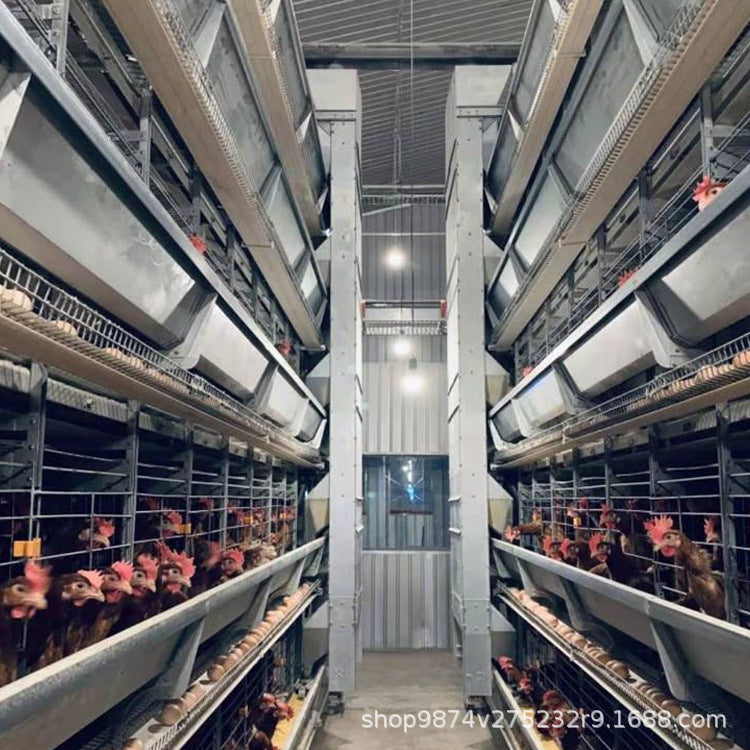 Automatic Feeder for Layer Chicken Cages - Convenient Walking Feeding Equipment