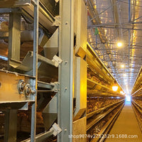 Automatic Feeder for Layer Chicken Cages - Convenient Walking Feeding Equipment