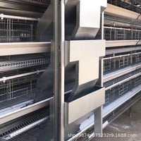 Automatic Feeder for Layer Chicken Cages - Convenient Walking Feeding Equipment