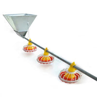 Automatic Chicken Feeding and Watering System for Poultry Farms - Complete Set of Feeders and Drinkers