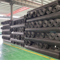 Geogrid Aquaculture Double-Stretched Road Surface Chicken Fence Orchard Vegetable Garden Plastic Mesh Material