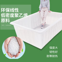 Food-Grade Rectangular Plastic Water Storage Tank for Fish, Turtle, and Seafood Transport