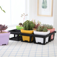Thickened Large Black Square 6-Hole Solid Tray Self-Watering Plastic Flower Pot Organizer Moving Pallet