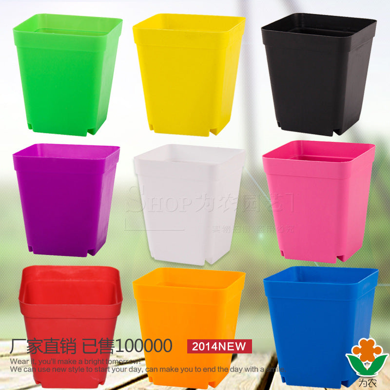 Colorful Succulent Plant Plastic Flower Pots Nursery Pots Small Square Pots with Trays