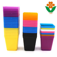 Colorful Succulent Plant Plastic Flower Pots Nursery Pots Small Square Pots with Trays