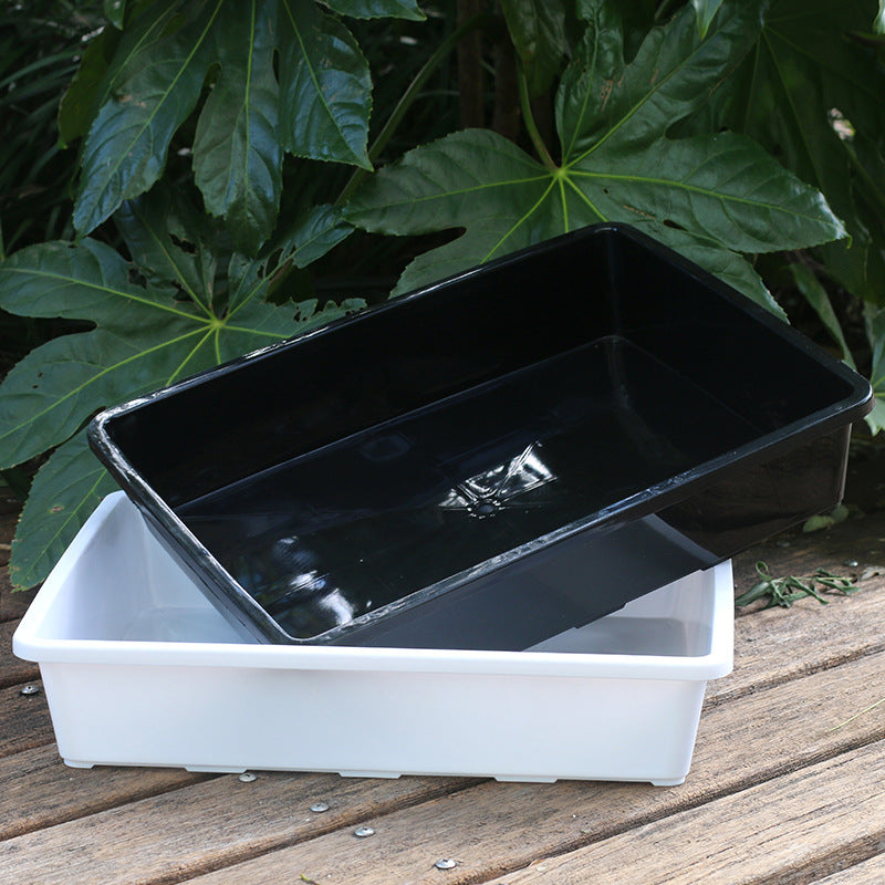 Solid Rectangular Tray for Succulent Pots, Plastic Black White Transparent Lid, School Experiment Observation Box, Incubator