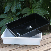 Solid Rectangular Tray for Succulent Pots, Plastic Black White Transparent Lid, School Experiment Observation Box, Incubator