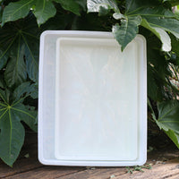 Solid Rectangular Tray for Succulent Pots, Plastic Black White Transparent Lid, School Experiment Observation Box, Incubator