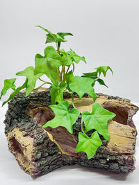 Aquarium Landscaping Resin Hiding Cave Simulation Bark Hole for Fish Shrimp Reptiles Hermit Crabs