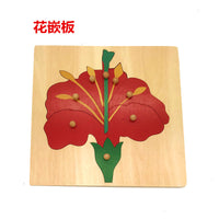 Montessori Wooden Puzzle Board for Toddlers 3-6 Years Old - Educational Learning Toy