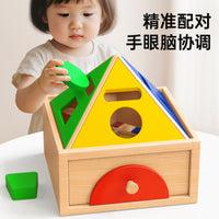 Montessori Early Education Cognitive Toy for Toddlers: Color and Shape Sorting Box with Geometric Stacking Blocks