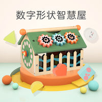 Wooden Kids Geometric Shape Sorting House Toy - Educational Intelligence Box for Babies and Toddlers
