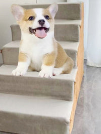 Pet Stairs for Small Dogs and Elderly Pets, Multi-Layer Steps for Sofa and Bed Access, Washable Sponge Ladder