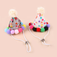 Pet Birthday Outfit for Cats and Small Dogs, Photo Props