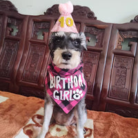 Pet Birthday Party Decoration Set Dog Birthday Bandana Hat Pet Dress-up Amazon