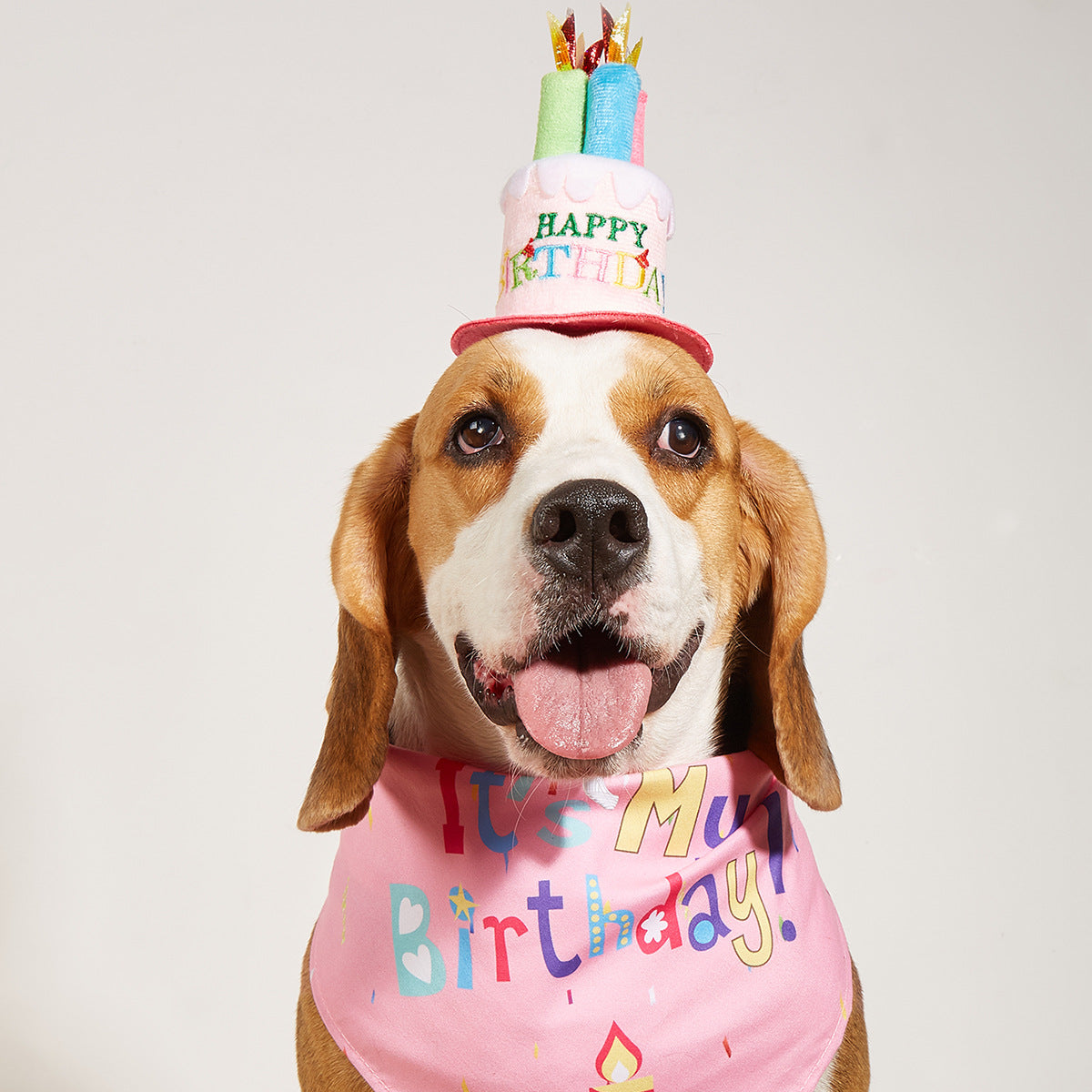 Pet Dog Birthday Bandana and Party Hat Set - Saliva Towel Scarf for Dogs, Cats, and Small Animals