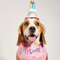 Pet Dog Birthday Bandana and Party Hat Set - Saliva Towel Scarf for Dogs, Cats, and Small Animals