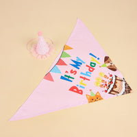 Pet Dog Birthday Bandana and Party Hat Set - Saliva Towel Scarf for Dogs, Cats, and Small Animals
