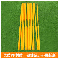 Agility Ladder for Soccer Training, Speed and Footwork Training Ladder for Adults and Kids, Physical Fitness Agility Training Equipment
