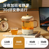 Automatic High Borosilicate Glass Health Kettle Multi-functional Flower Tea Cooker Electric Stew Cup for Home Office