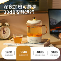 Health Kettle Multi-functional Tea Maker Home Office Small Automatic Constant Temperature Water Boiler