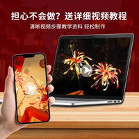 DIY Chenille Stem Firework Flower Bouquet Kit for Lantern Festival and New Year Gift, Kindergarten Toy