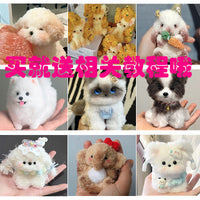 15mm Extra Thick Plush Chenille Stems Pipe Cleaners for DIY Crafts, Dog Making, and Coral Line Art