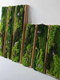 Preserved Moss Wall Art Decor 3D Plant Wall Hanging Greenery Mural High-End Wall Painting Tabletop Ornament