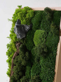 Preserved Moss Wall Art Decor 3D Plant Wall Hanging Greenery Mural High-End Wall Painting Tabletop Ornament