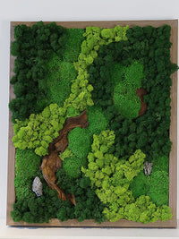 Preserved Moss Wall Art Decor 3D Plant Wall Hanging Greenery Mural High-End Wall Painting Tabletop Ornament