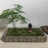 Money Acorus Coarse Pottery Flower Pot Cement Succulent Moss Bonsai Ceramic Classical Chinese Zen Style Lucky Imitation Han Brick