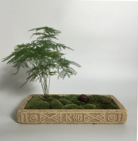 Money Acorus Coarse Pottery Flower Pot Cement Succulent Moss Bonsai Ceramic Classical Chinese Zen Style Lucky Imitation Han Brick