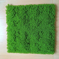 Artificial Plant Wall Greenery Panel, UV Protected Faux Moss Backdrop for Indoor Decor, Live Stream & Photography Background