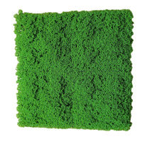 Artificial Plant Wall Greenery Panel, UV Protected Faux Moss Backdrop for Indoor Decor, Live Stream & Photography Background