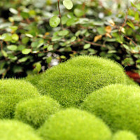Artificial Moss Stones for Micro Landscape Decor, DIY Foam Landscaping Material, Fake Moss Lawn for Bonsai and Terrariums