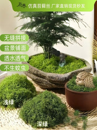 Artificial Moss Landscape Decoration Fake Green Moss Turf Paving Bonsai Micro Landscape Ornament Preserved Moss