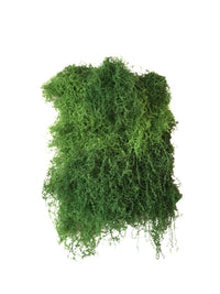 Artificial Moss Landscape Decoration Fake Green Moss Turf Paving Bonsai Micro Landscape Ornament Preserved Moss
