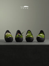 New Chinese Style Preserved Moss Micro Landscape Desktop Mini Ornaments for Home and Kids' Room