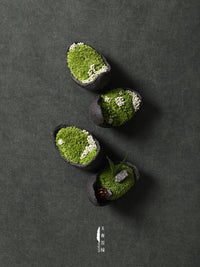 New Chinese Style Preserved Moss Micro Landscape Desktop Mini Ornaments for Home and Kids' Room