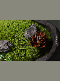 New Chinese Style Preserved Moss Micro Landscape Desktop Mini Ornaments for Home and Kids' Room