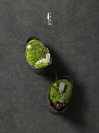 New Chinese Style Preserved Moss Micro Landscape Desktop Mini Ornaments for Home and Kids' Room