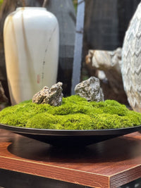 Metal Copper Tone Preserved Moss Bonsai Micro Landscape New Chinese Style Hotel Sales Office Dining Table Floral Decor