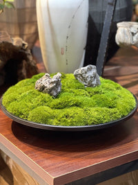 Metal Copper Tone Preserved Moss Bonsai Micro Landscape New Chinese Style Hotel Sales Office Dining Table Floral Decor