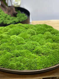 Metal Copper Tone Preserved Moss Bonsai Micro Landscape New Chinese Style Hotel Sales Office Dining Table Floral Decor